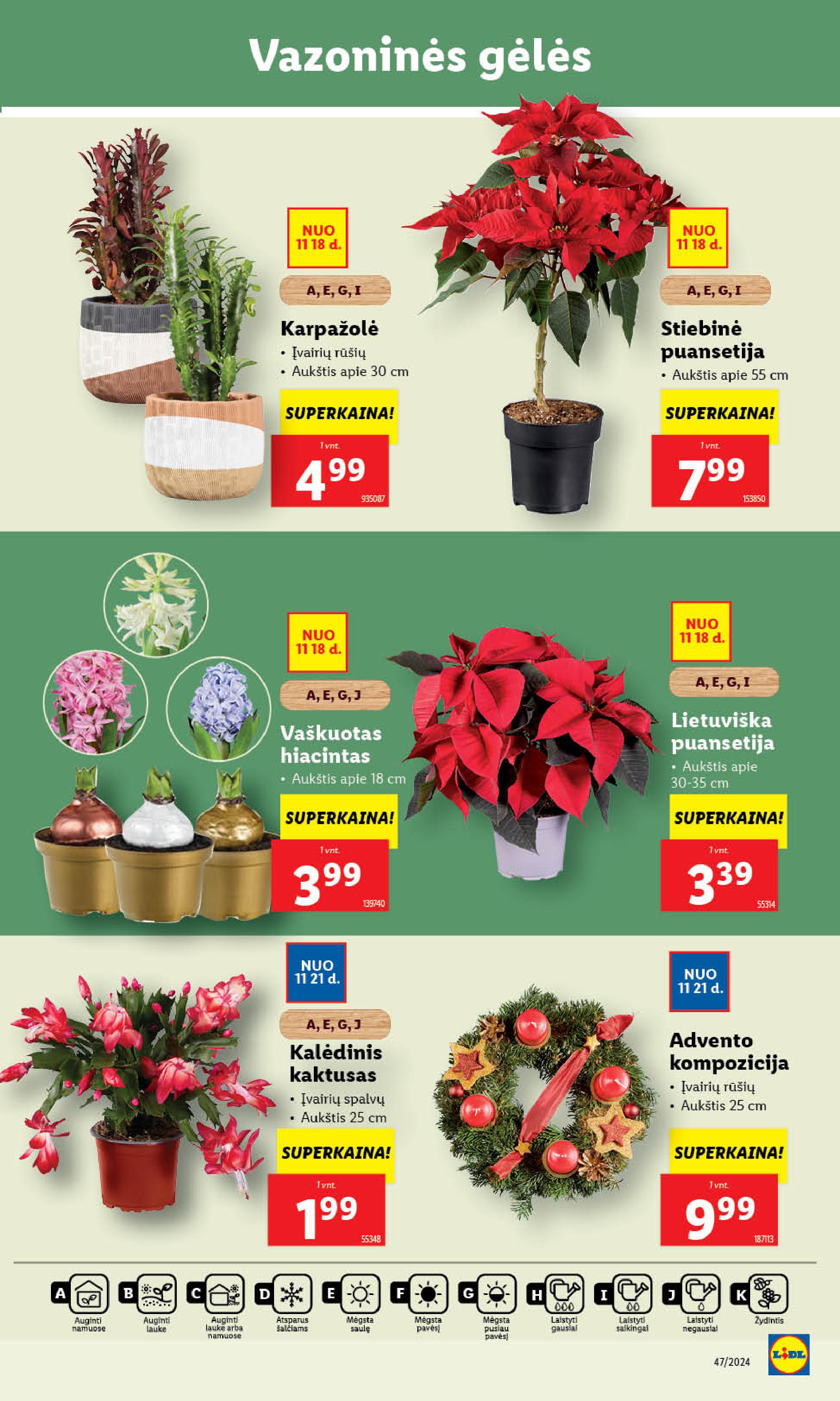 LIDL akcijų ir nuolaidų leidinys 2024.11.18 - 2024.11.24