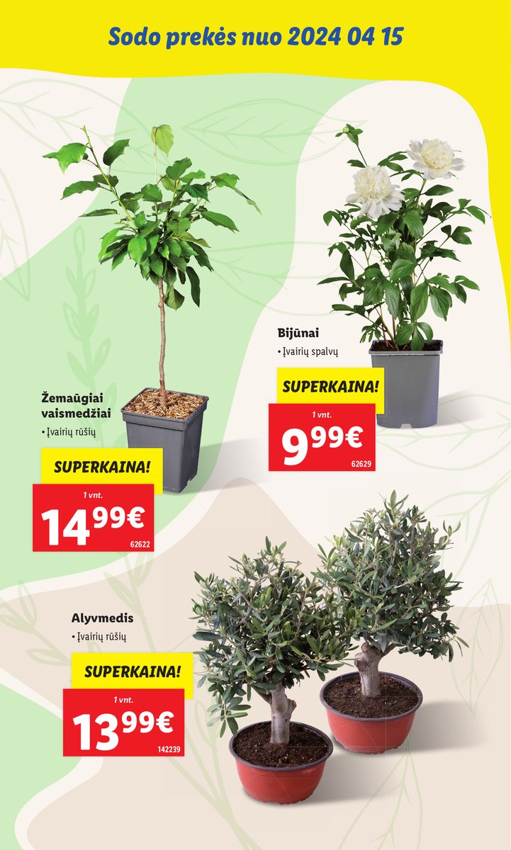 LIDL SODO PREKIŲ KATALOGAS "Visi į sodą"