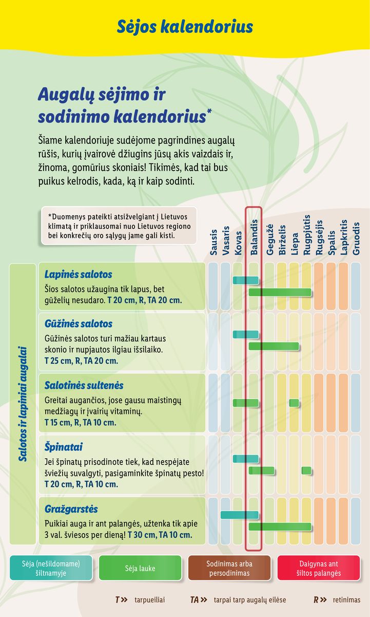 LIDL SODO PREKIŲ KATALOGAS "Visi į sodą"