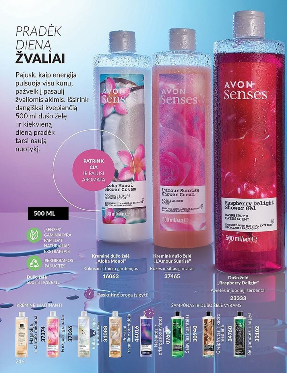 AVON katalogas galioja 2024.11.01 - 2024.11.30