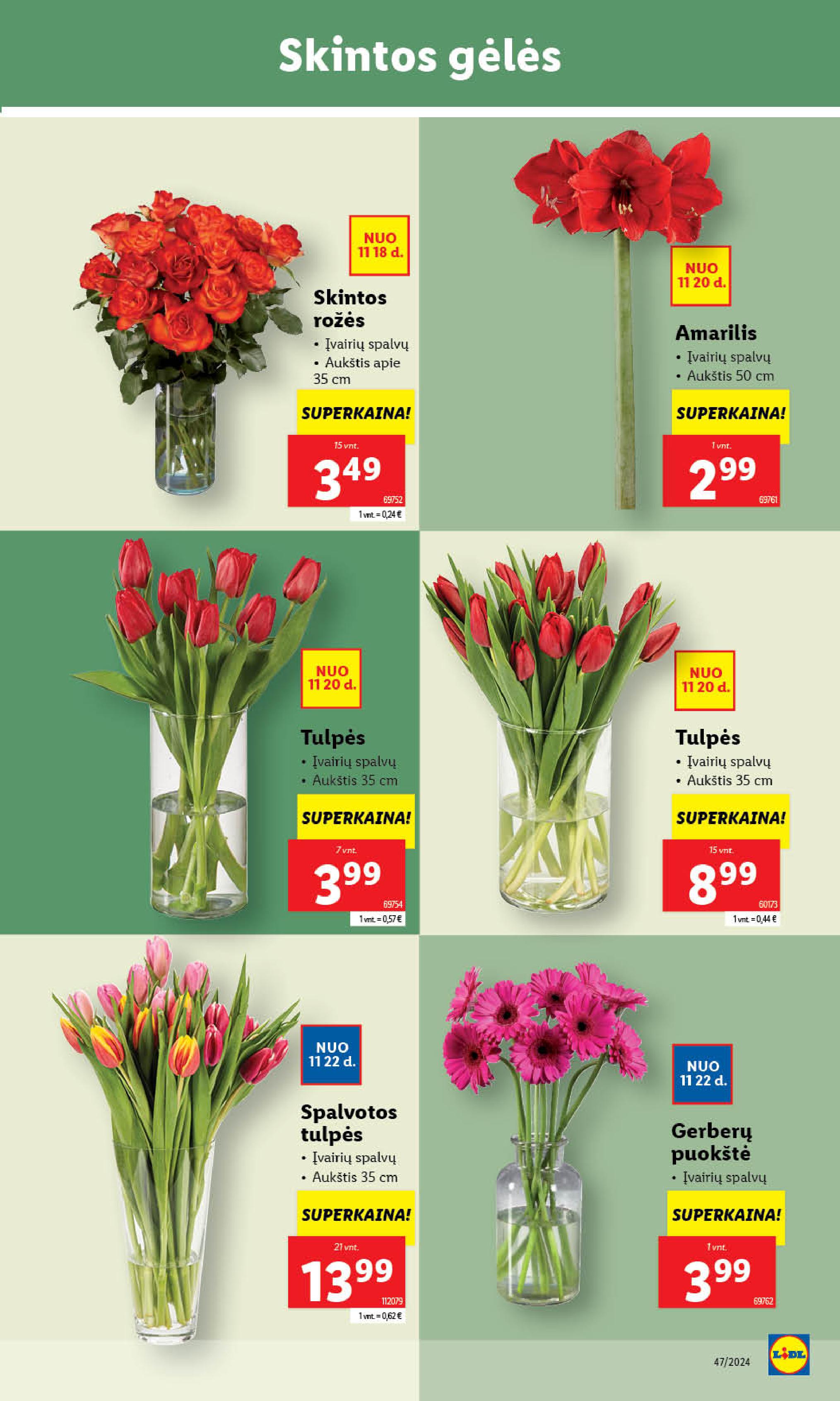 LIDL maisto prekių leidinukas nuo ketvirtadienio 11.21 - 11.24